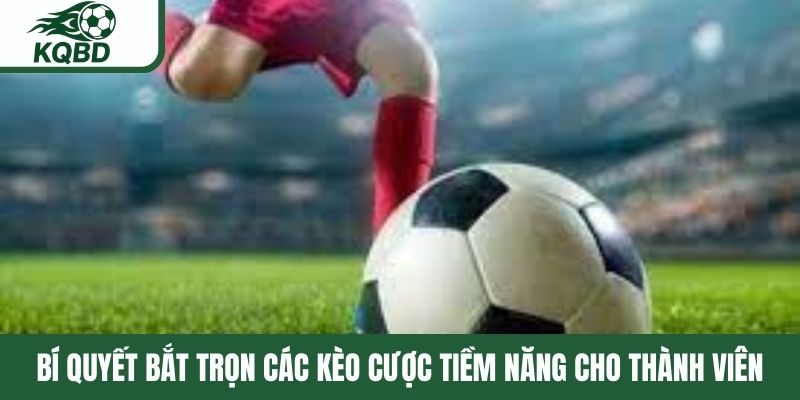Bí quyết bắt trọn các kèo cược tiềm năng cho thành viên