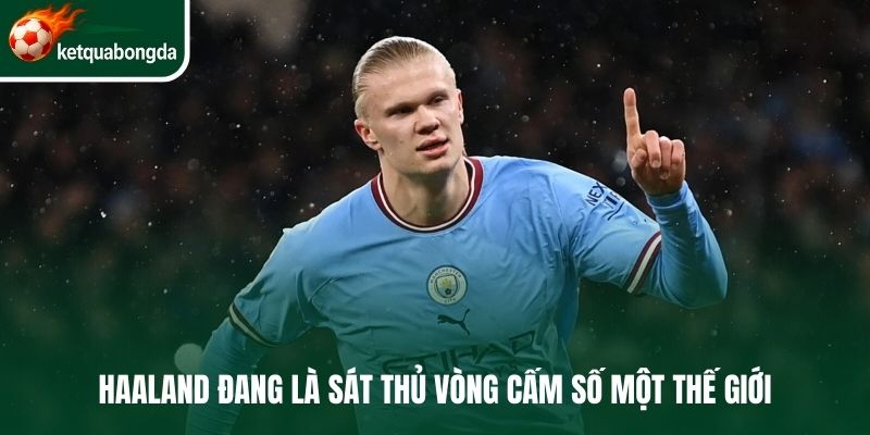 Haaland đang là sát thủ vòng cấm số một thế giới