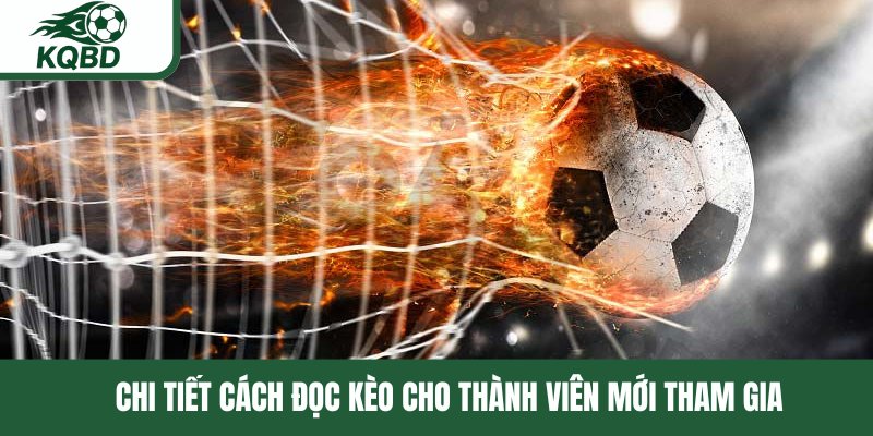 Chi tiết cách đọc kèo cho thành viên mới tham gia tại KQBD