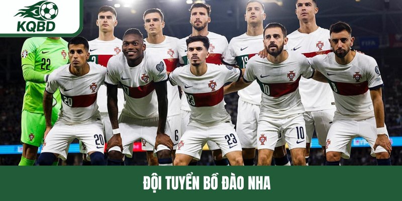 Đội tuyển Bồ Đào Nha