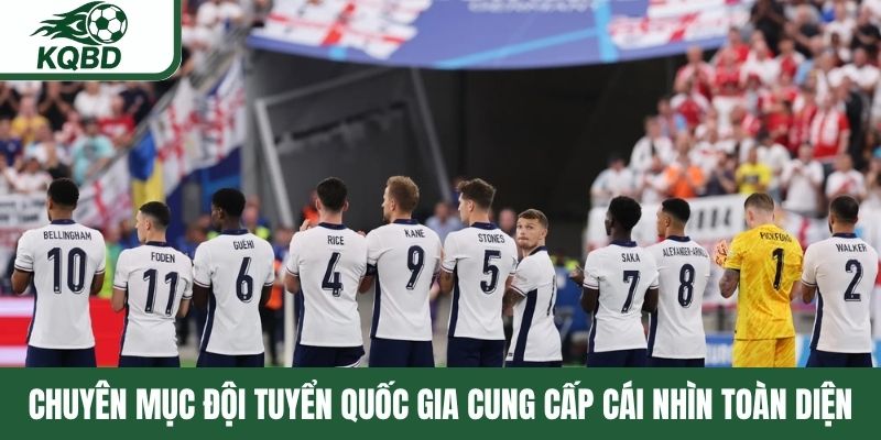 Chuyên mục đội tuyển quốc gia cung cấp cái nhìn toàn diện