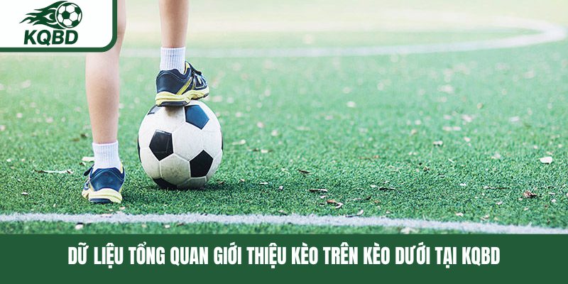 Dữ liệu tổng quan giới thiệu kèo trên kèo dưới tại KQBD
