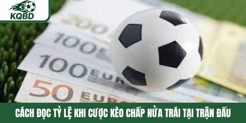 Cách đọc tỷ lệ khi cược kèo chấp nửa trái tại trận đấu