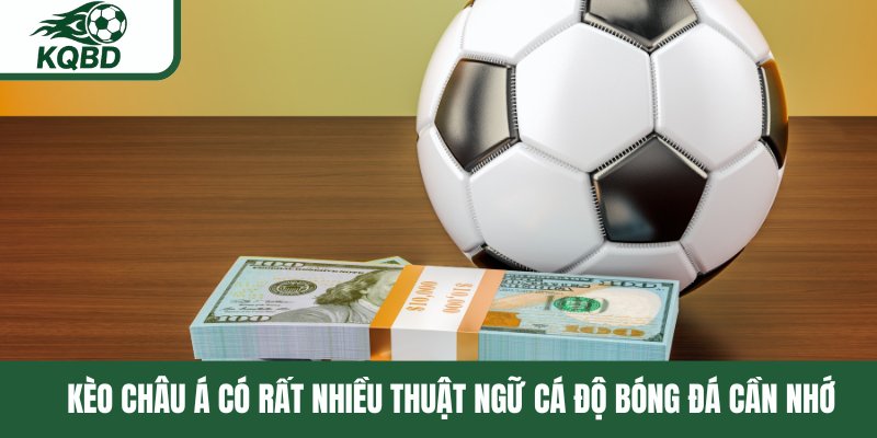 Kèo châu Á có rất nhiều thuật ngữ cá độ bóng đá cần nhớ