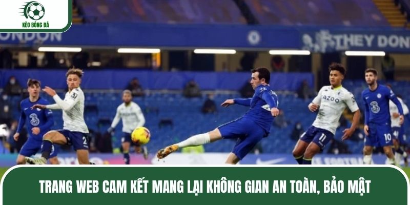 Trang web cam kết mang lại không gian an toàn, bảo mật
