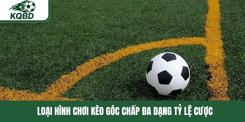 Loại hình chơi kèo góc chấp đa dạng tỷ lệ cược 