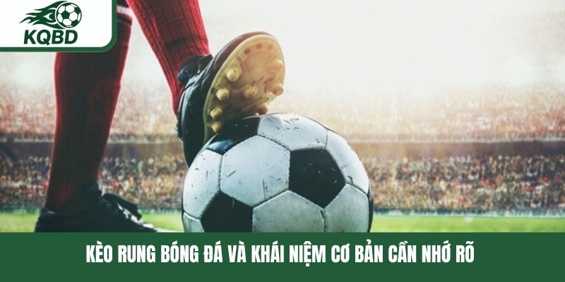 Kèo rung bóng đá và khái niệm cơ bản cần nhớ rõ 