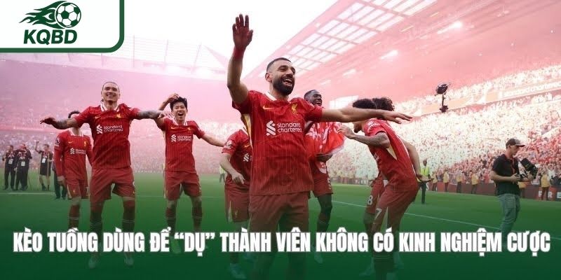 Kèo tuồng dùng để “dụ” thành viên không có kinh nghiệm cược