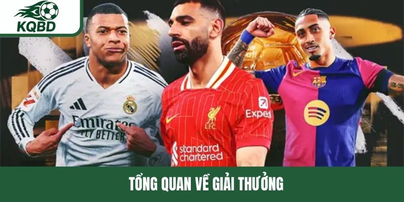 Khái  quát về giải cầu thủ xuất sắc nhất năm fifa