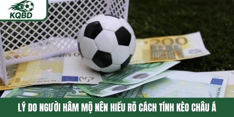 Lý do người hâm mộ nên hiểu rõ cách tính kèo châu Á