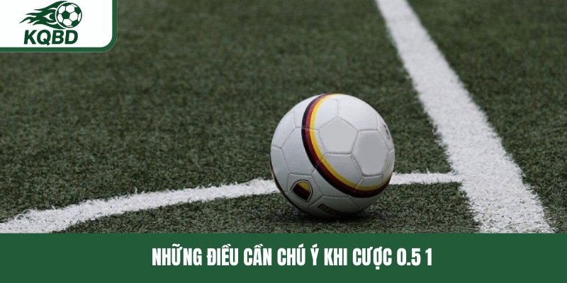 Những điều cần chú ý khi cược 0.5 1
