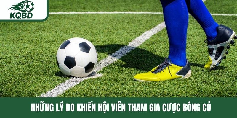 Những lý do khiến hội viên tham gia cược bóng cỏ 