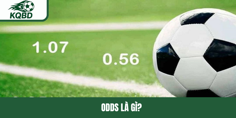 Odds là gì