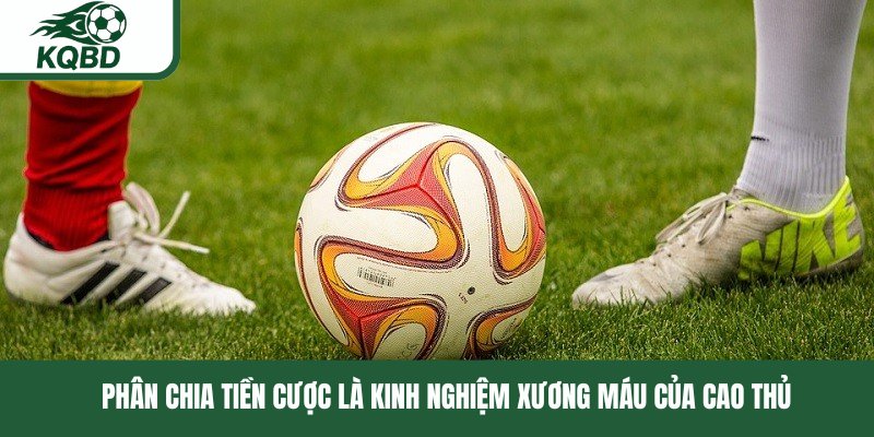Phân chia tiền cược là kinh nghiệm xương máu của cao thủ 