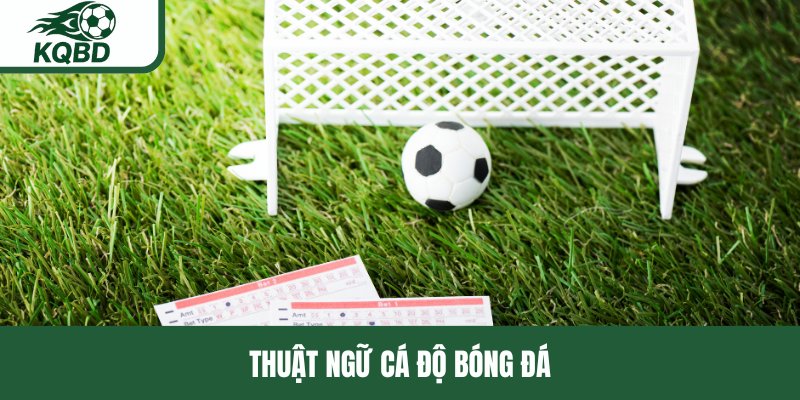 Thuật ngữ cá độ bóng đá