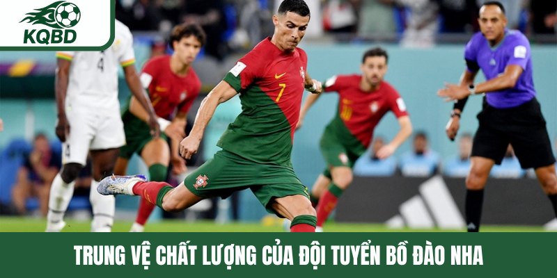 Trung vệ chất lượng của đội tuyển Bồ Đào Nha 